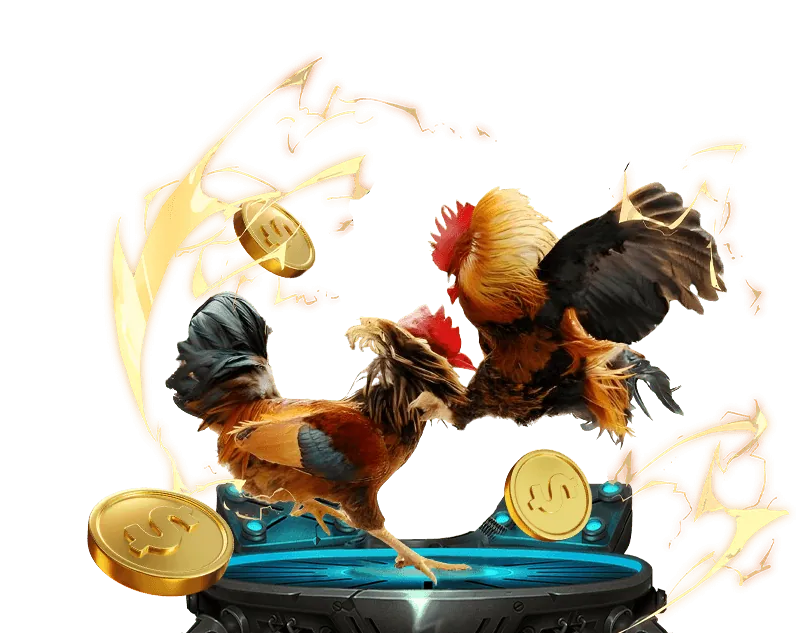 Đá gà tre tốc độ cao tại 33win9